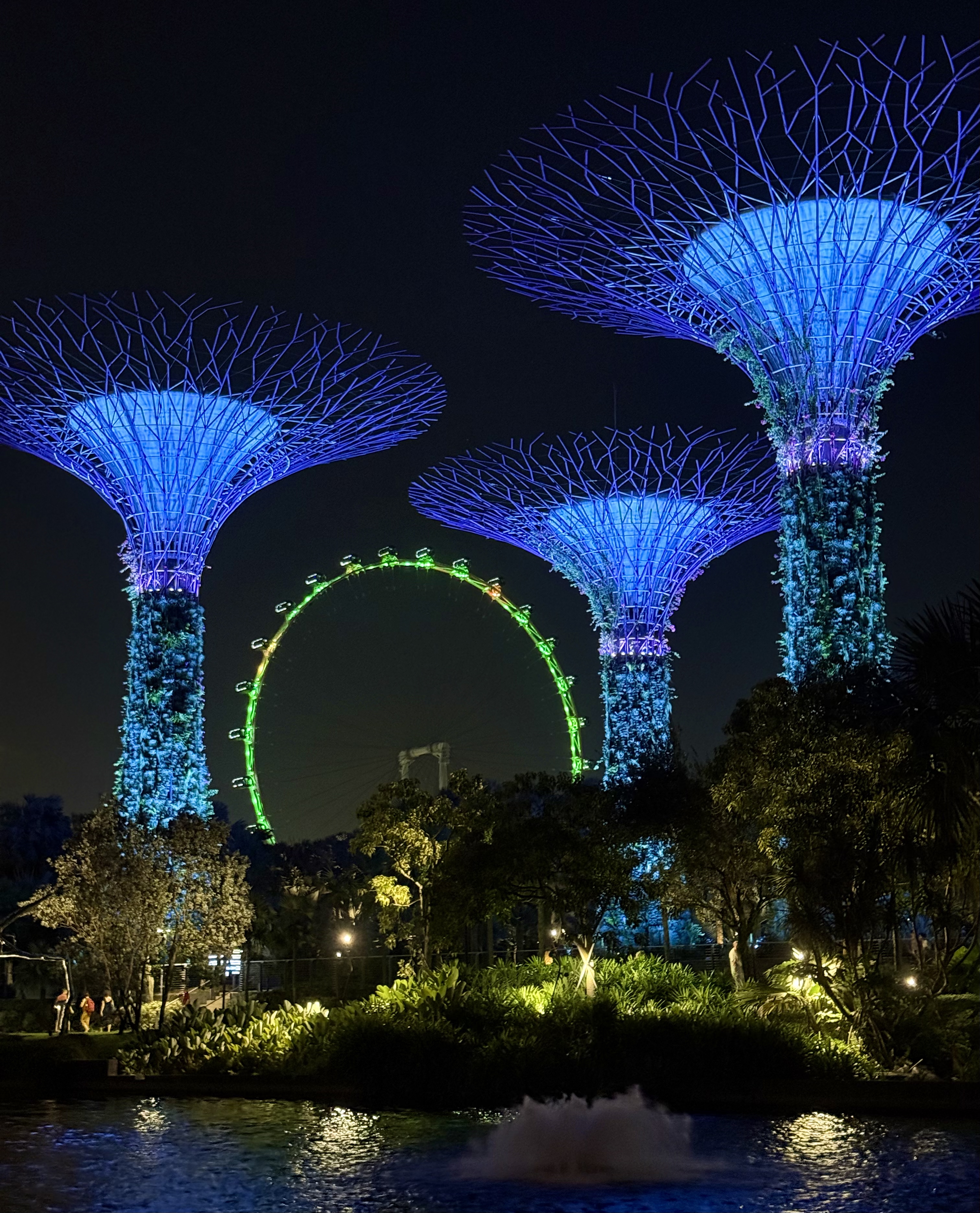 Supertree Grove lit up at Gardens by the Bay